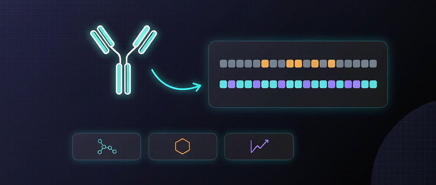 Antibody sequence and humanization concept